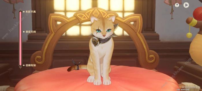 原神茸茸城堡大喵险第五天攻略2