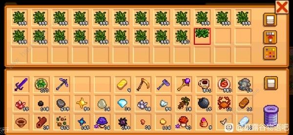 星露谷物语活的帽子怎么刷_星露谷物语帽子哪里买 星露谷物语活的帽子怎么刷_星露谷物语帽子哪里买