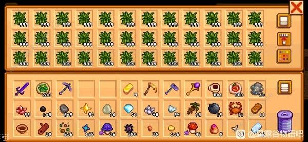 星露谷物语活的帽子怎么刷2