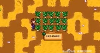 星露谷物语温室怎么解锁2