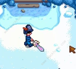 星露谷物语喵刀怎么得8