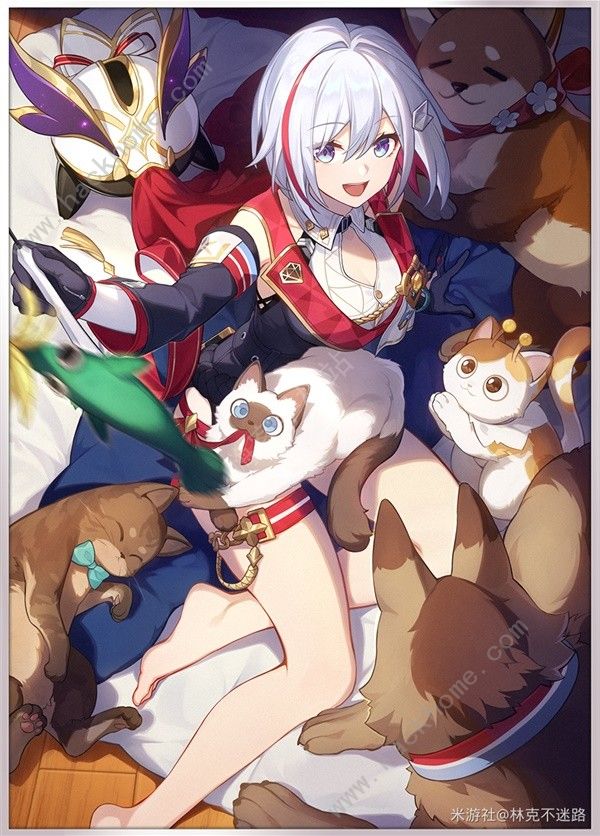 崩坏星穹铁道2.0托帕养成攻略1