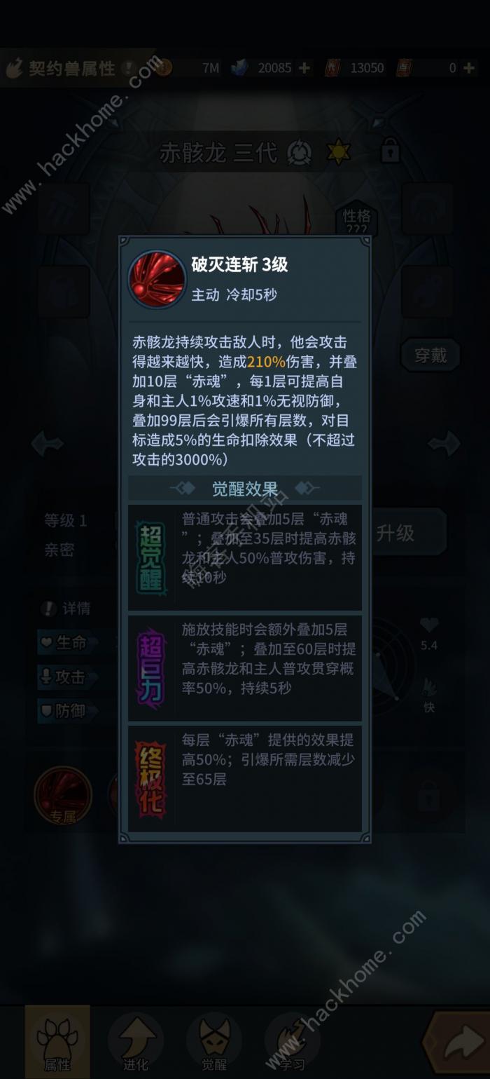 提灯与地下城新区选什么宠物好6