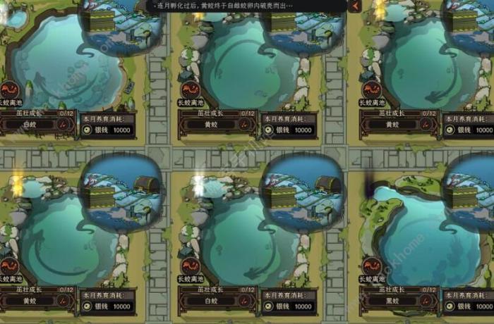 太吾绘卷五方神龙dlc怎么触发4