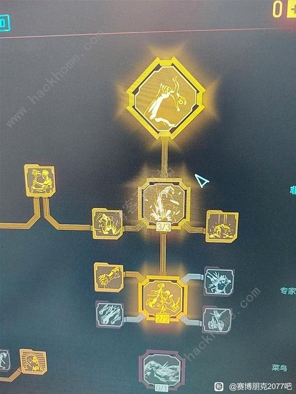 赛博朋克2077钝器流怎么配装4