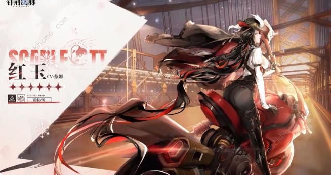 白荆回廊雪中春信前瞻爆料4