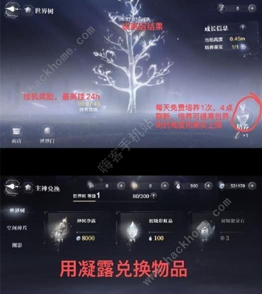 世界之外世界树果实有什么用2