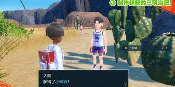 宝可梦朱紫超辣的三明治怎么做5