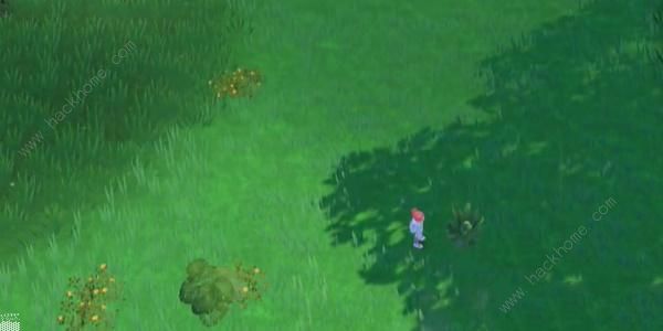 宝可梦朱紫蓝之圆盘美洛耶塔怎么得7