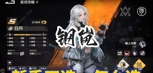 钢岚新手池4选1角色哪个好1