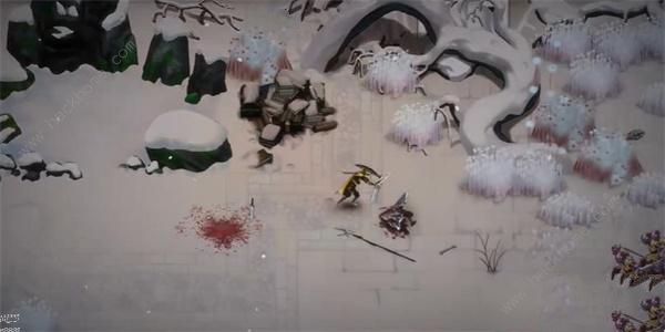 暖雪蛇族历史研究报告怎么得2