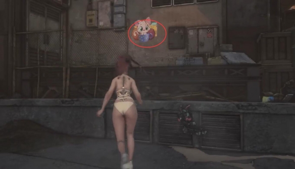 剑星猫咪摄影展全位置攻略12