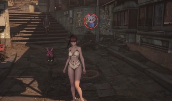 剑星猫咪摄影展全位置攻略16