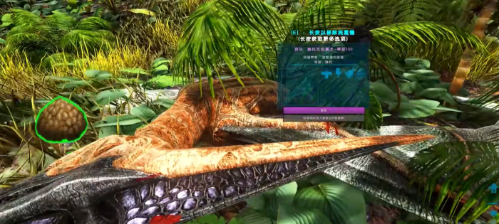 方舟生存进化翼龙怎么抓2