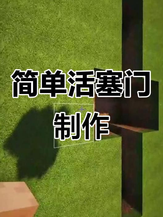 我的世界如何做活塞门1