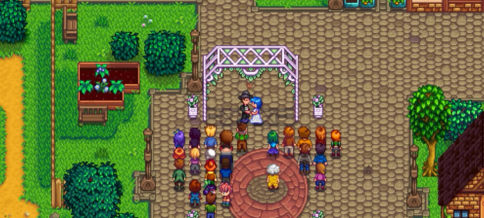 星露谷物语丢弃孩子会发生什么1