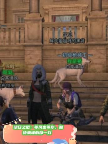 明日之后怎么建立营地1