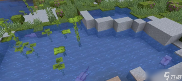 怎么快速清除《我的世界》中的水1