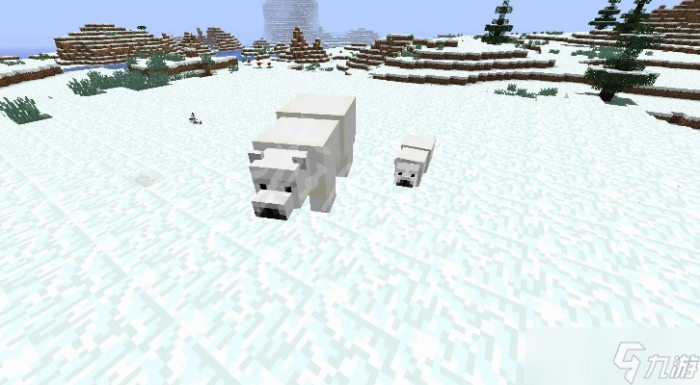 我的世界怎么喂北极熊_我的世界北极熊吃什么食物 视频 我的世界怎么喂北极熊_我的世界北极熊吃什么食物 视频