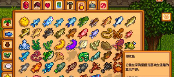 星露谷物语稀有鱼种钓取方法攻略3