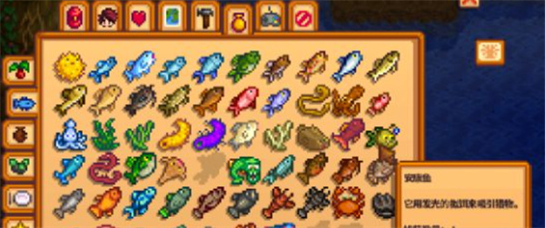 星露谷物语稀有鱼种钓取方法攻略4