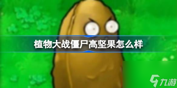 植物大战僵尸高坚果介绍1