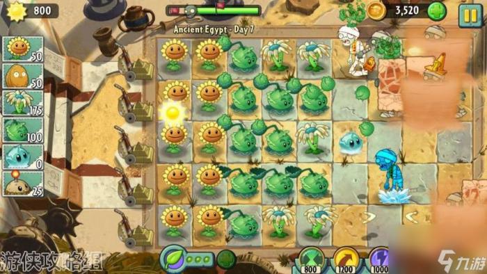 《植物大战僵尸》游戏攻略3