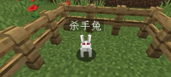 我的世界杀手兔的指令是什么1