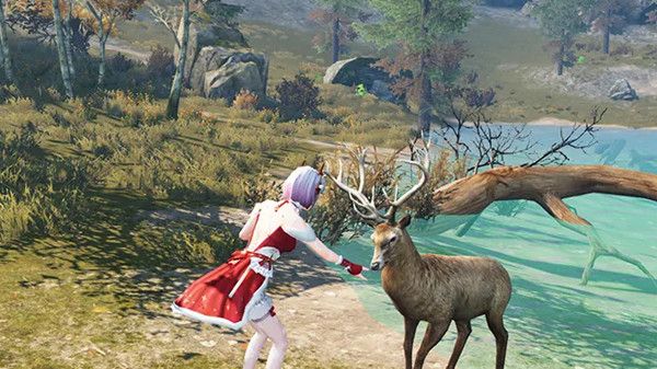 明日之后鹿野原位置介绍1