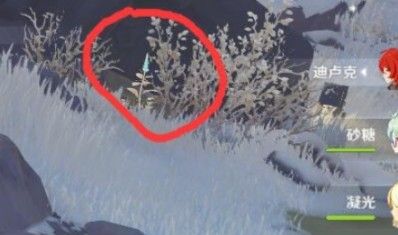 原神喂狐狸有什么用3