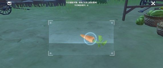 原神带有红色的采集物位置大全4