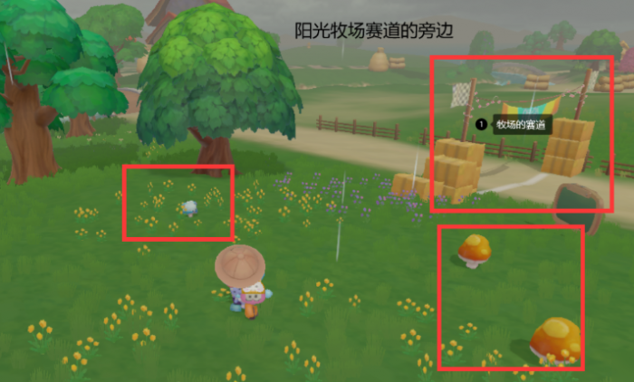 摩尔庄园怎么采蘑菇快2