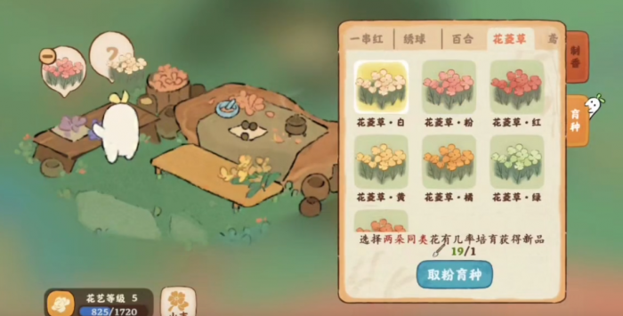 桃源深处有人家白花菱草怎么种1