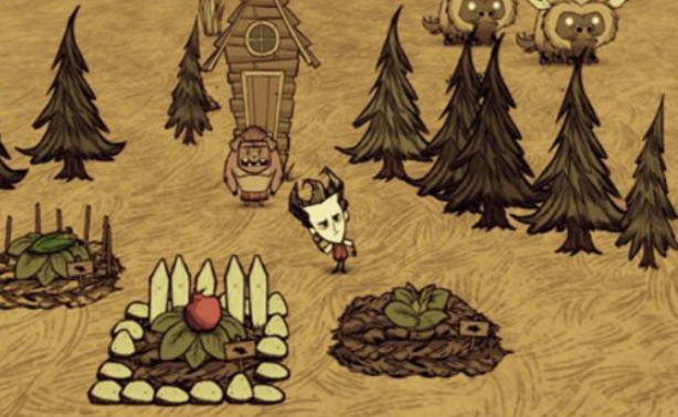 饥荒鸟笼养什么鸟好2