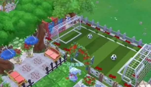 摩尔庄园小球场怎么玩2