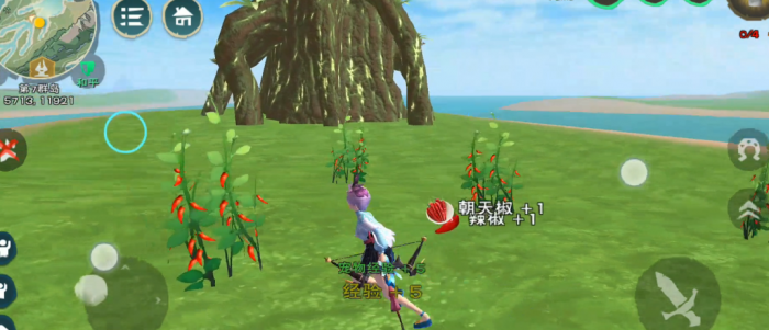 创造与魔法新版辣椒在哪里最多2