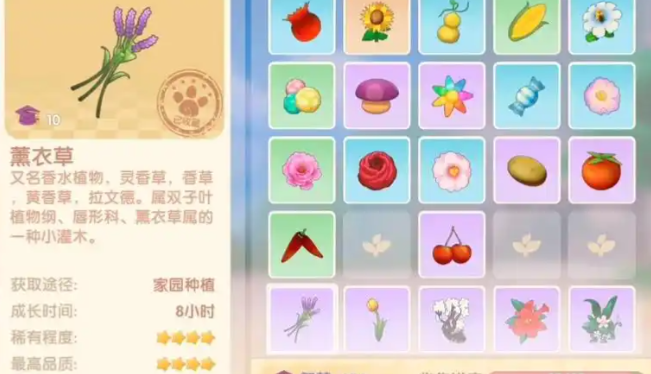 摩尔庄园熏衣草种子怎么买1