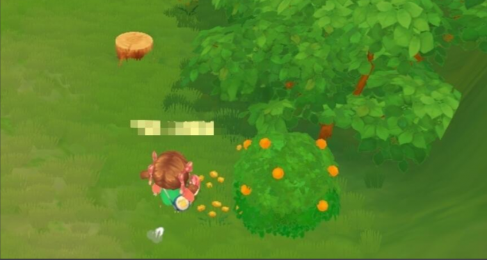 摩尔庄园怎么收浆果2