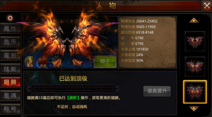 全民奇迹翅膀羽毛带什么好1