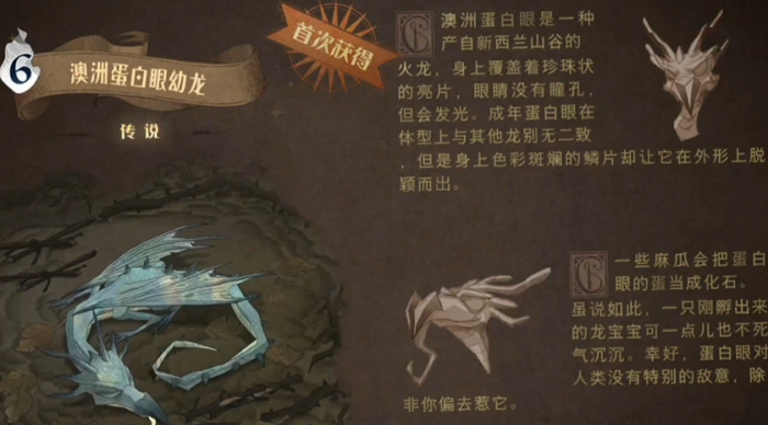 哈利波特白眼幼龙卡组怎么搭配1