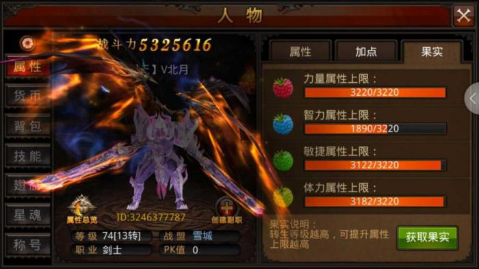 全民奇迹魔剑士玩法怎么玩2