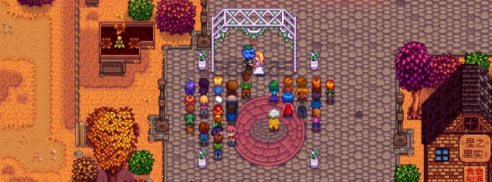 星露谷物语九心怎么升十心3