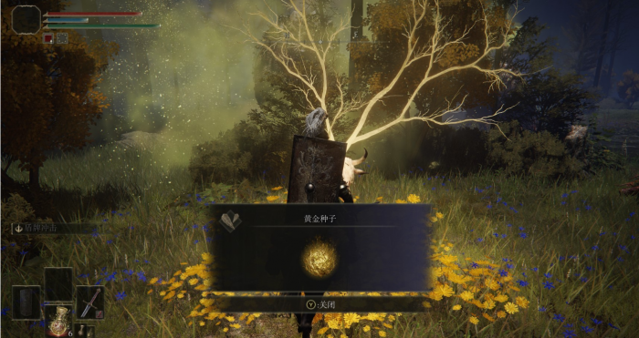 艾尔登法环法师前期怎么玩3