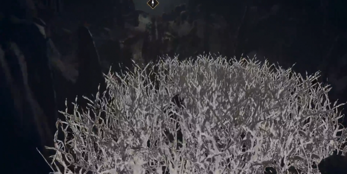 古墓丽影食人鱼怎么过2