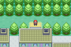 口袋妖怪火红哪里能方便练级3