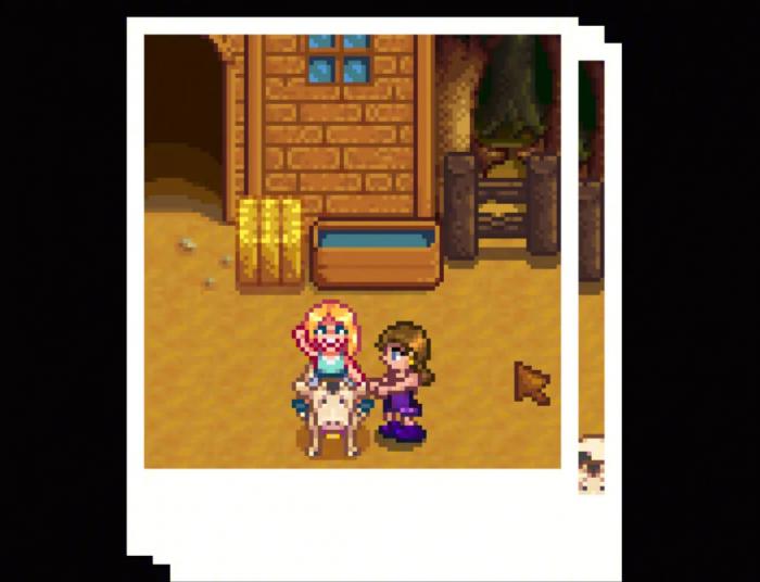 如何成功地结婚于星露谷物语3