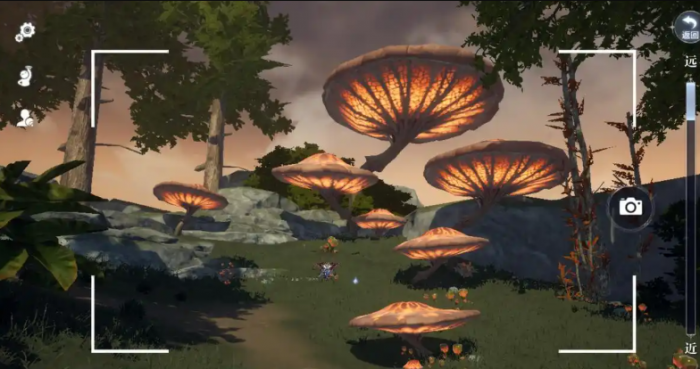 全民奇迹2精灵圣树在哪1