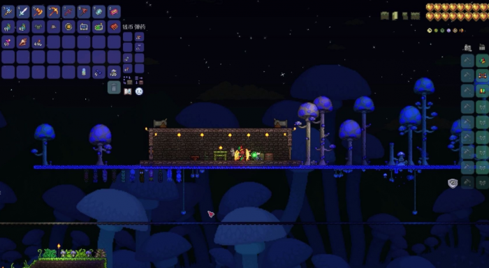 泰拉瑞亚发光蘑菇群落在哪2