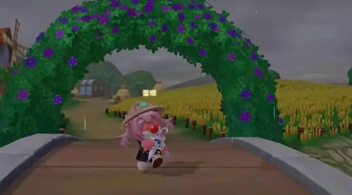 摩尔庄园雨天和晴天怎么分辨1