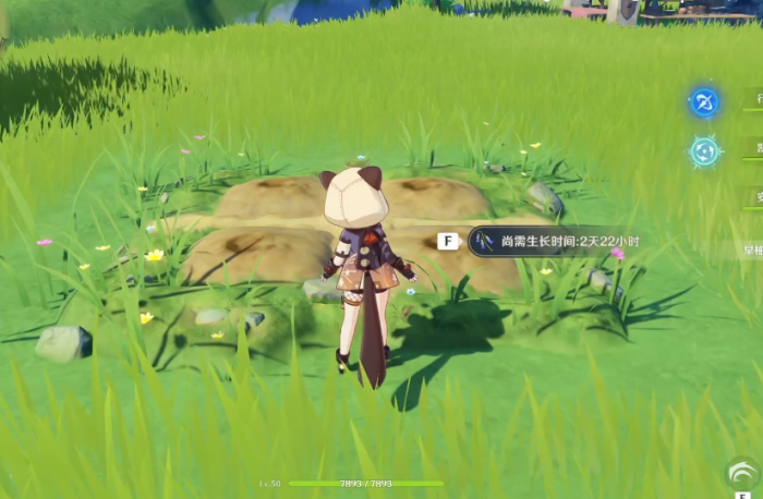 原神家园田地怎么放3